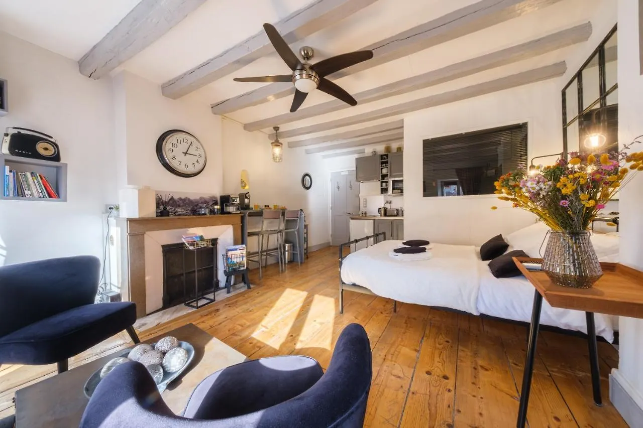 شقة Au Grey D'Annecy, Studio Cosy Au Coeur De La Ville