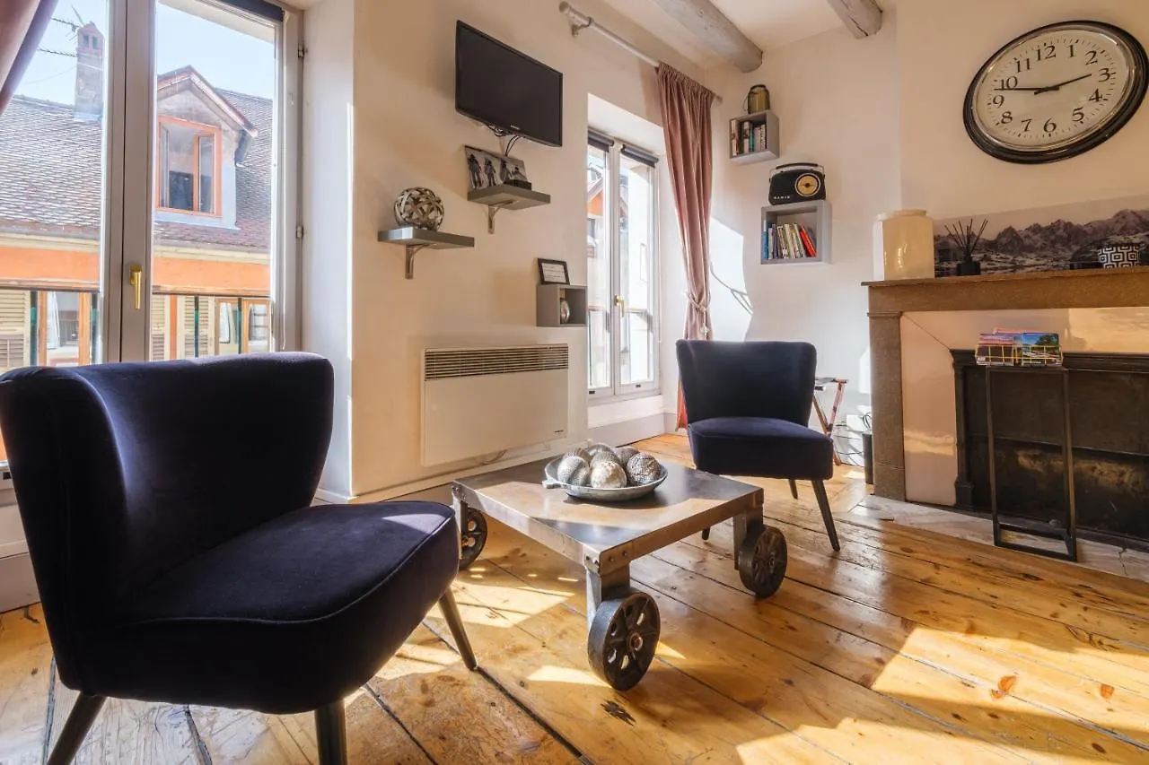 Au Grey D'Annecy, Studio Cosy Au Coeur De La Ville فرنسا