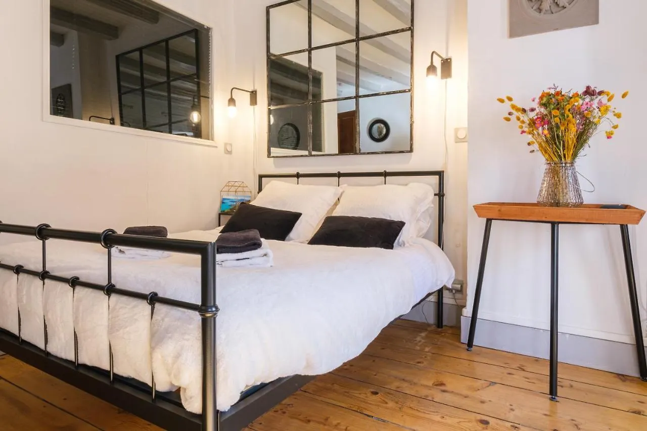 Apartment Au Grey D'Annecy, Studio Cosy Au Coeur De La Ville France