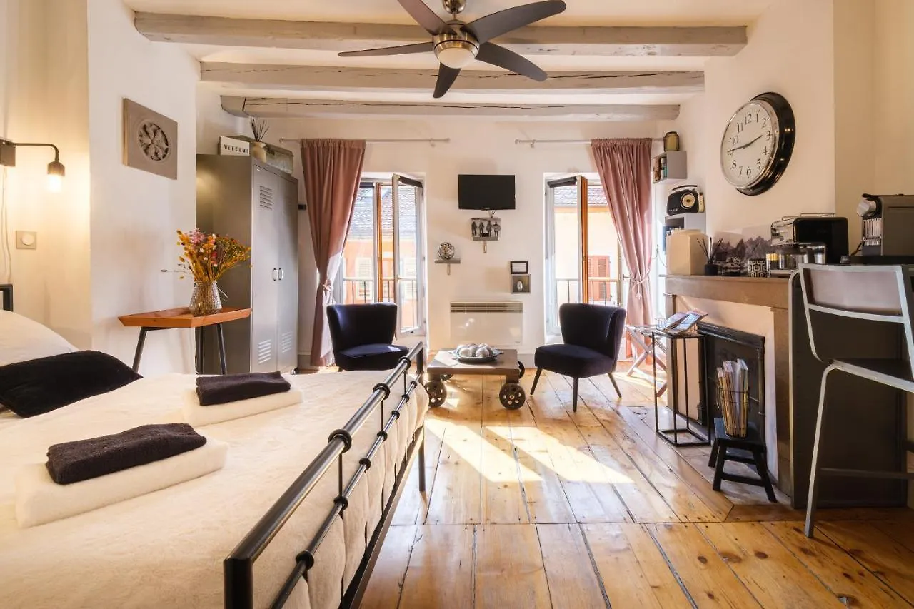 Apartment Au Grey D'Annecy, Studio Cosy Au Coeur De La Ville