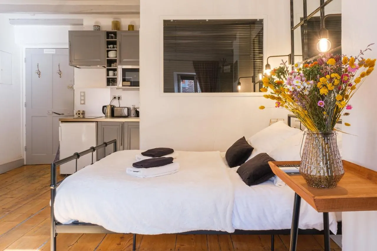 Au Grey D'Annecy, Studio Cosy Au Coeur De La Ville 0*, Annecy France