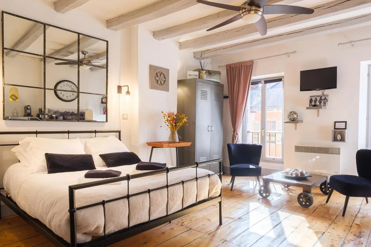 Au Grey D'Annecy, Studio Cosy Au Coeur De La Ville Annecy