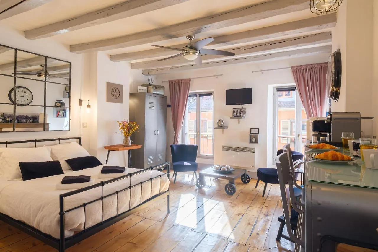 Au Grey D'Annecy, Studio Cosy Au Coeur De La Ville 0*, Annecy France
