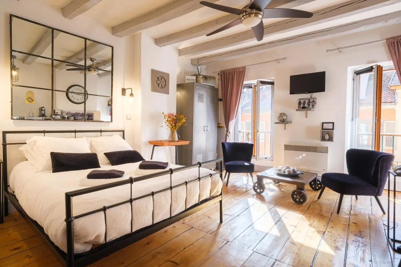 Apartment Au Grey D'Annecy, Studio Cosy Au Coeur De La Ville